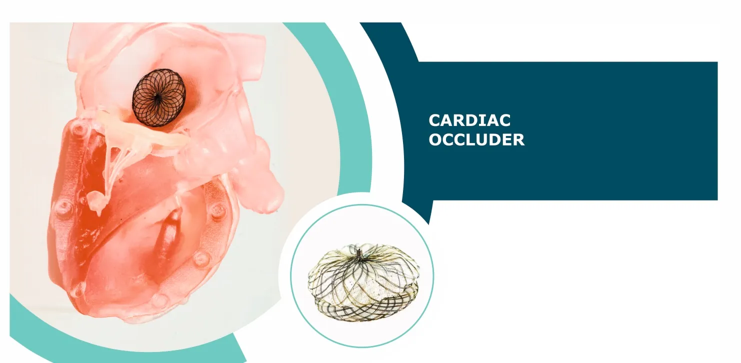 Cardiac Occluder