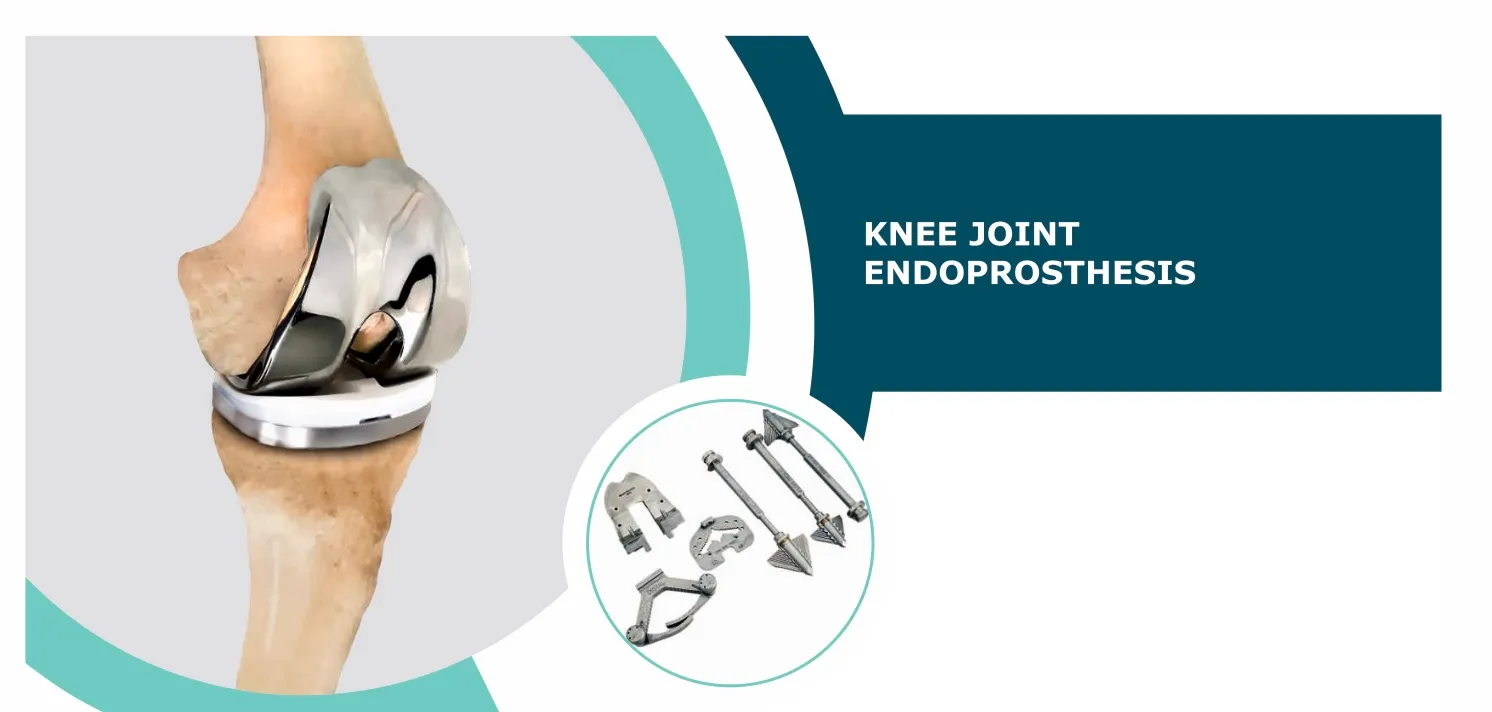 Knee Joint Endoprosthesis