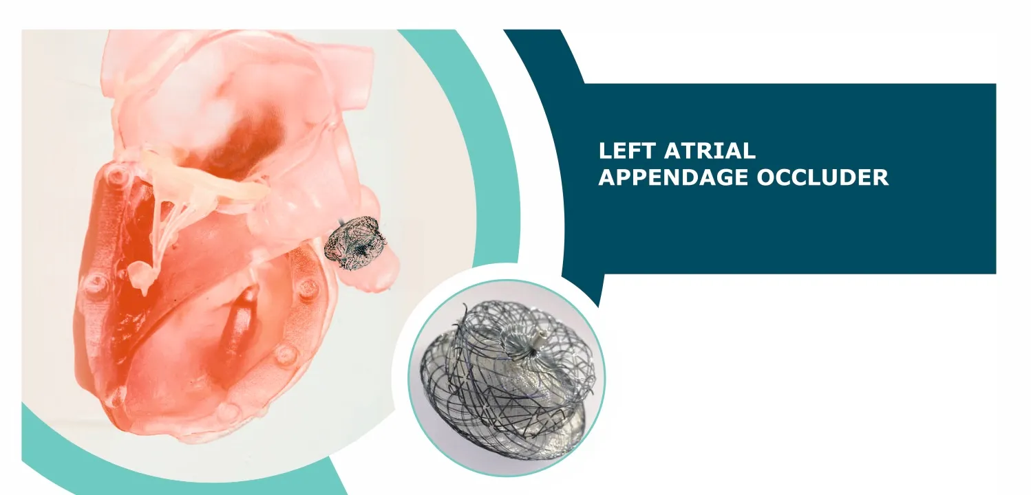 Left Atrial Appendage Occluder